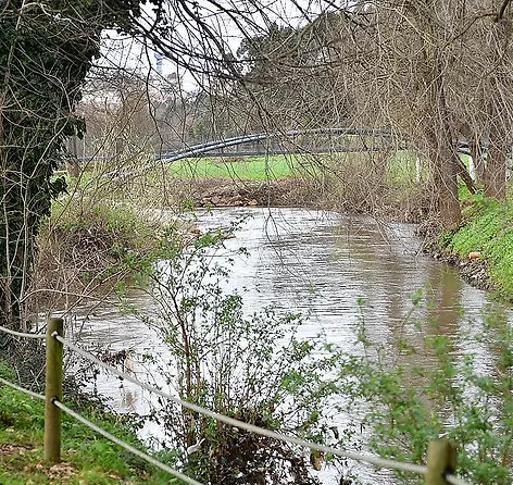 Um dia de imersão na natureza